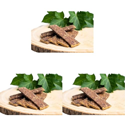 GIOSNAX - Rehfleisch, für Hunde, Leckerli, Snack, natürliche Belohnung, Belohnungsstreifen, für unterwegs, schonender Fertigungsprozess, Einzelfuttermittel, 100g (Packung mit 3) von GIOSNAX