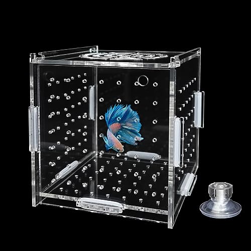 Acryl-Fischzuchtbox, transparente Fisch-Isolationsbox, Brutkasten mit Saugnäpfen für Aquarium, Guppy, Garnelen, Clownfisch, afrikanische Buntbarsche (10,2 x 10,2 x 10,2 cm) von GKPONSX
