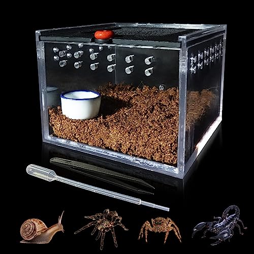 GKPONSX Springspinnengehege, kleine Insektenzuchtbox Acryl Spinnenterrarium mit Zange Schalen Dropper für Schnecke Gecko Tarantel Skorpion Sling Mantis Frosch Isopoden Einsiedlerkrebse (Transparent) von GKPONSX