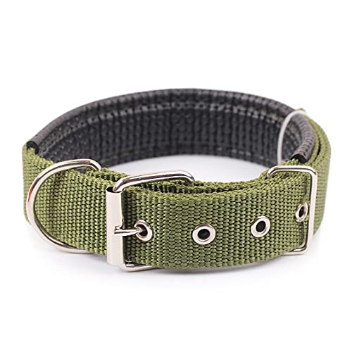 Einfarbiges Hundehalsband Aus Robustem Nylon, Hundehalsband Für Teddy, Bulldogge, Beagle, Chihuahua, Mops, Hundetrainingshalsband,Armeegrün,2XL von GKRB