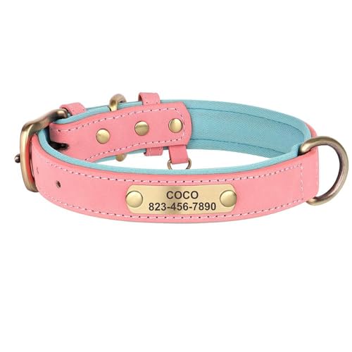 Hundehalsband mit Gravur, personalisierbar, PU-Leder, Anti-Verlust-Hundehalsband für kleine und mittelgroße Hunde, Bulldoggen, A, M von GKRB