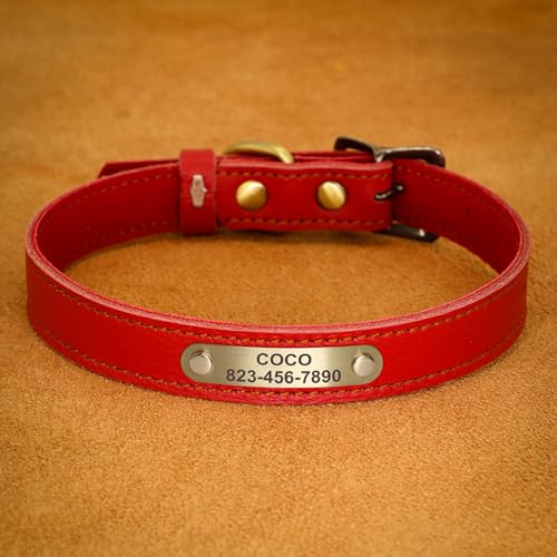 Maßgeschneidertes Lederhalsband Für Katzen Und Hunde, Personalisiertes ID-Namensschild, Haustierhalsband, Kleines Anti-Verlust-Hundehalsband, Verstellbares Haustierhalsband, Chihuahua-Mopsha von GKRB