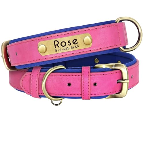 Personalisiertes Hundehalsband Mit Namensschild Aus PU-Leder, Gepolstertes Hundehalsband, Individuell Gravierter Kosename, Telefonnummer, Verstellbares Hundehalsband, Anti-Verlust-Hundehalsb von GKRB