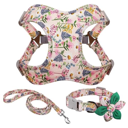 Strapazierfähiges Nylon-Hundegeschirr, Halsband, Leine, Bedruckt, Kein Ziehen, Set Für Französische Bulldogge, Chihuahua, Mops, Geschirr, Leine Und Halsband-Set, Outdoor-Hundetrainingsgeschi von GKRB