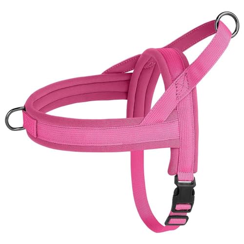 Verstellbares Nylon-Haustiergeschirr, Gepolstertes Hundegeschirr, Keine Spannung, Hundegeschirr, Weicher Komfort, Haustiergeschirr, Hunde-Camping-Trainingsgeschirr,A,XS von GKRB