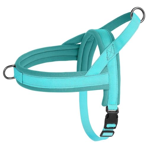 Verstellbares Nylon-Haustiergeschirr, Gepolstertes Hundegeschirr, Keine Spannung, Hundegeschirr, Weicher Komfort, Haustiergeschirr, Hunde-Camping-Trainingsgeschirr,Blau,XS von GKRB