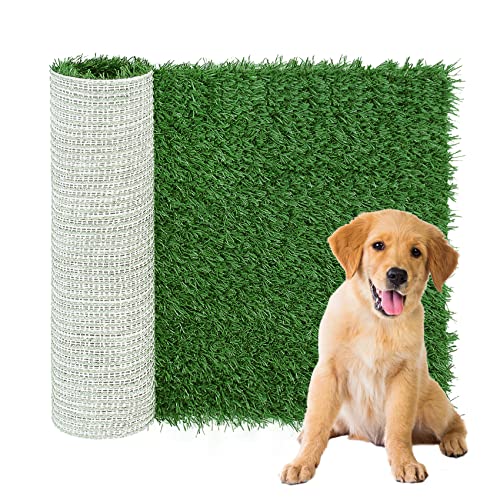 GLOBREEN Ersatz-Hundegras-Pad für Töpfchentraining, mittelgroßer Kunstrasen-Patch für Töpfchentablett, wiederverwendbar und hohe Drainage, 61 x 61 cm, 1 Packung von GLOBREEN