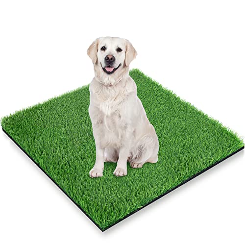 GLOBREEN Wiederverwendbare Kunstrasen Pee Pad für Hunde, Welpen Töpfchentraining Rasen, Haustierfreundliche Kunstrasenmatte für drinnen und draußen, waschbar & stark entwässert, 48 x 31,5 Zoll von GLOBREEN