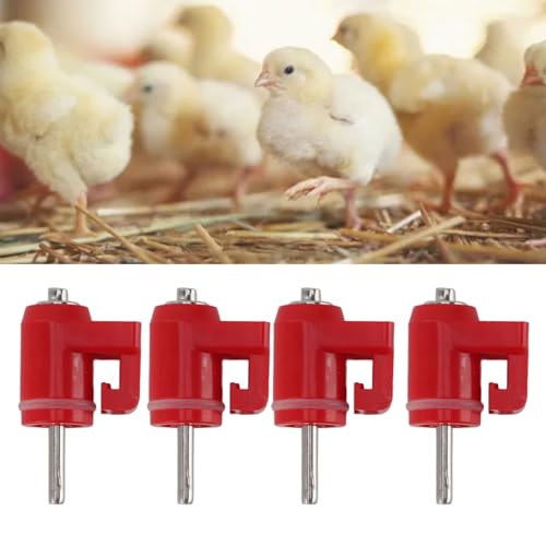 30 Stück Hühnernippeltränke Outdoor-Zubehör Red Head Langlebige und Zuverlässige Automatische Steuerung des Wasserverbrauchs für Geflügel (Grober Nagel) von GLOGLOW