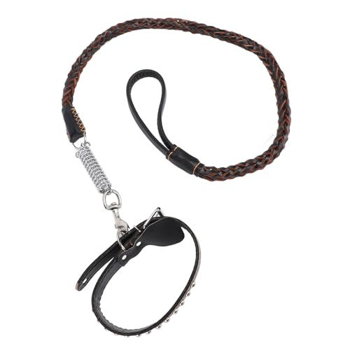 Hundeleine und Halsband-Set, 1,1 M Lange Geflochtene Hundetrainingsleine aus PU-Leder, Verstellbares Halsband-Set mit Stoßdämpfender Feder für Mittelgroße und Große Hunde von GLOGLOW