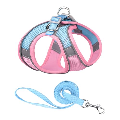 Mesh-Hundegeschirr-Leine-Set mit Reflektierendem Design, Maximale Stabilität und Sichtbarkeit. Haustiergeschirr Zum Spazierengehen, Wandern, Training (S) von GLOGLOW