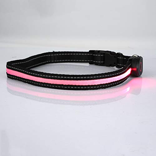 Verstellbares LED-Hundehalsband aus Nylon für Haustiere, Blinkend, mit Wiederaufladbarem USB-Anschluss, Reduziert den Verlust von Haustieren bei Nächtlichen Spaziergängen (L) von GLOGLOW