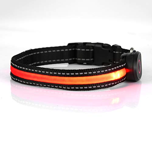 Verstellbares LED-Hundehalsband aus Nylon für Haustiere, Blinkend, mit Wiederaufladbarem USB-Anschluss, Reduziert den Verlust von Haustieren bei Nächtlichen Spaziergängen (S) von GLOGLOW