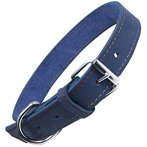 Gloria Hundehalsband, Nubukleder, 45 cm, Blau von GLORIA LO MEJOR PARA TU MEJOR AMIGO