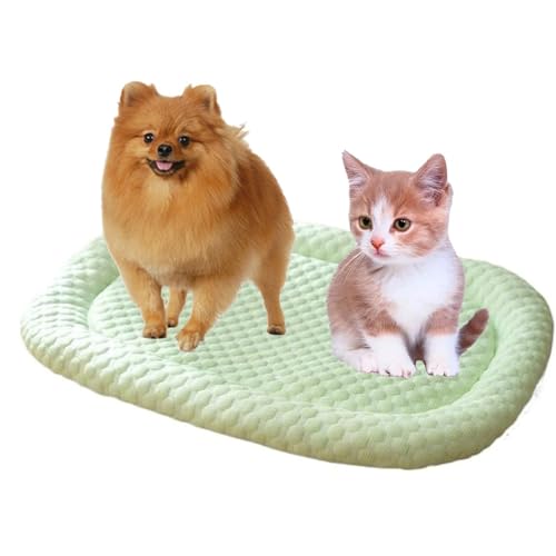 GLazzy Kühlbetten for Haustiere, Kühlkissen for Welpen, Kühlmatte for Hunde, Kühlkissen aus Eisseide for Haustiere, for große und kleine Katzen und Hunde(Green,XL) von GLazzy
