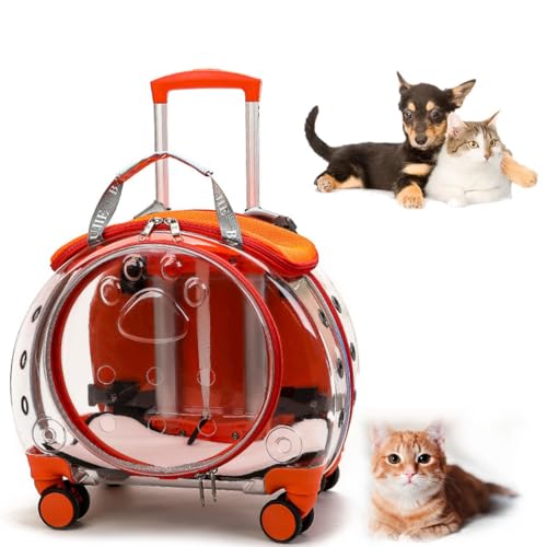 Katzentragetasche mit Rädern, transparente Katzentragetasche mit Luftpolsterfolie, Haustier-Trolley, Haustier-Rucksack for kleine Kätzchen und Hunde, tragbarer Reiserucksack for Katzen und Hunde, Haus von GLazzy