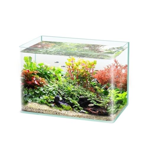 Aquarium Neu Ultra Klar Glas Fisch Tank Beheizten Gebogene Handwerk Desktop Kleine Aquarium Schildkröte Tank für Aquarien(25cmx16cmx18cm) von GLigeT