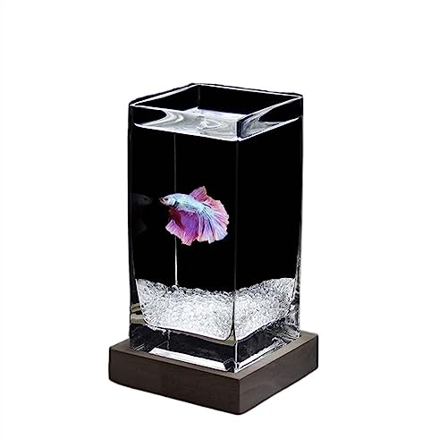 GLigeT Aquarien Aquarium quadratisch für Kampffische hoch transparent mit Holzbasis Aquarium für tropische Fische kleines Aquarium aus verdicktem Glas Aquarium für Fische (White02) von GLigeT