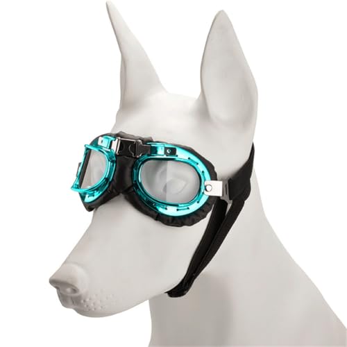 Windschützende Hundesonnenbrille, kleine Sonnenbrille, Foto-Requisiten für Outdoor-Aktivitäten, flexibler Riemen Windschützende Hundesonnenbrille, kleine Sonnenbrille, Foto-Requisiten für Outdoor-Aktivitäten, flexibler Riemen von GMBYLBY