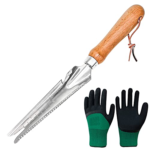 Unkrautjäter 33 cm Edelstahl Unkrautjäter Garten Hand Weeder mit Holzgriff Unkrautjäte Länge Garten Unkraut Jäten Werkzeug für Garten, Umstoßen, Umpflanzen, Jäten, Entwurzel von GMMG