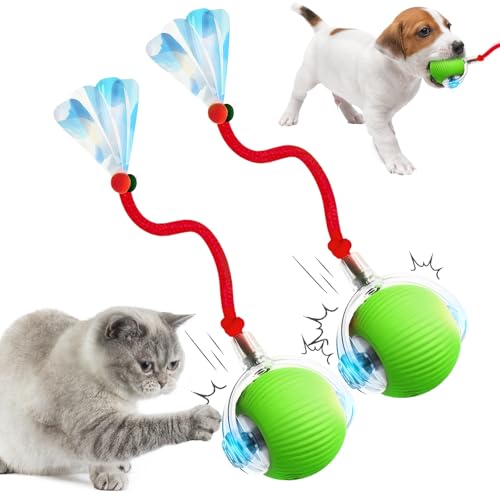 Chewie Rolling Ball, 2025 Neu Magic Ball Hund Interaktives Katzenspielzeug Elektrisch, Hundespielzeug Ball katzenspielzeug Ball, Intelligenter Automatischer Rollball Spielzeug (Grün - 2 Stück) von GMTEO