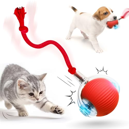 GMTEO Chewie Rolling Ball, 2025 Neu Magic Ball Hund interaktives katzenspielzeug elektrisch, hundespielzeug Ball, Intelligenter automatischer Rollball für Kleine,Mittlere Hunde (rot) von GMTEO