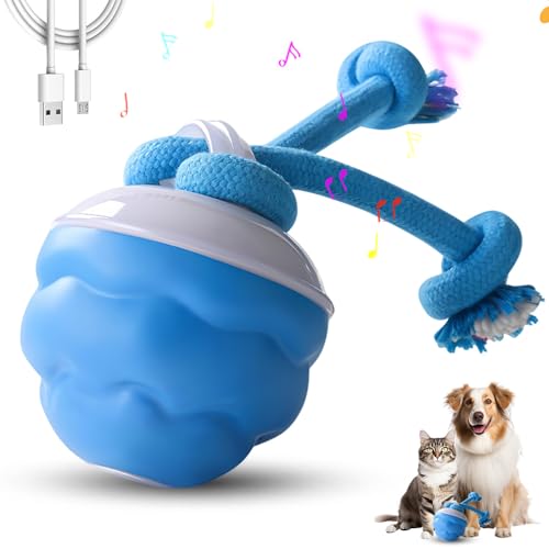 GMTEO Power Tail 2.0 Dog Toy, 2025 Neu Interaktives Katzenspielzeug Ball Elektrisch, Balle Pour Chien, Katzenspielzeug Interaktives Hundespielzeug Selbstrollender Ball für Hunde (Blau) von GMTEO