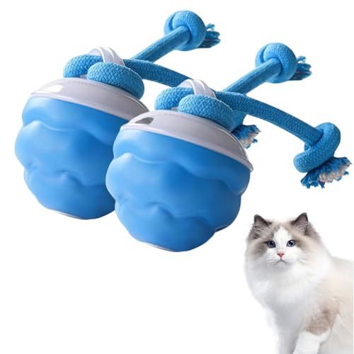 GMTEO Power Tail 2.0 Dog Toy, 2025 Neu Interaktives Katzenspielzeug Ball Elektrisch, Balle Pour Chien, Katzenspielzeug Interaktives Hundespielzeug Selbstrollender Ball für Hunde (Blau - 2 Stück) von GMTEO