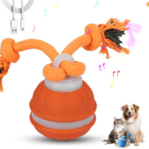 GMTEO Power Tail 2.0 Dog Toy, 2025 Neu Interaktives Katzenspielzeug Ball Elektrisch, Balle Pour Chien, Katzenspielzeug Interaktives Hundespielzeug Selbstrollender Ball für Hunde (Orange) von GMTEO