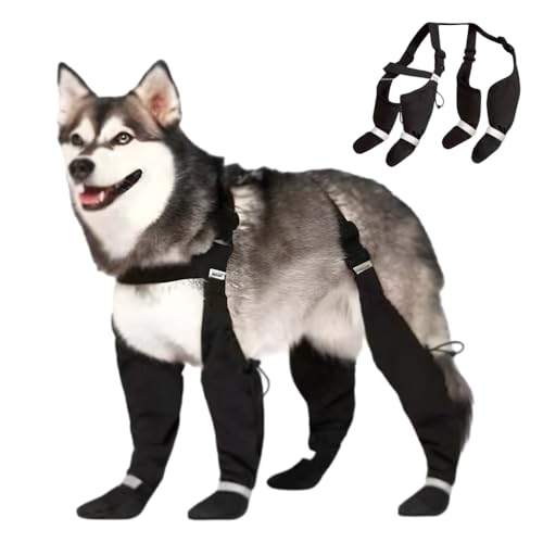 Hundeschuhe Pfotenschutz Outdoor, 2025 Neu Suspender Dog Boots, Hundesocken Anti Rutsch Pfotenschutz, Hundeschuhe Winter Outdoor für Kleine, Mittlere und Große Hunde (L) von GMTEO