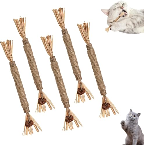 GMVVAC Nylatails Silvervine Zahnreinigungsstab, Nylatails Katze Kauspielzeug, Silvervine Stick für Katzen, Interaktives Kätzchen Zahnen Spielzeug, zur Reinigung von Kätzchenzähnen, Steigern Sie den von GMVVAC