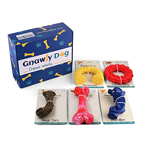 Aspiree GNAWLY Dog Chew Toys for Aggressive Chewers, 5 Pack, Flavor Infused Heavy Duty Rubber Bones, Ring, Antlers, Ropes and Animal, Indoor and Outdoor Play for Medium to Large Breeds von GNAWLY DOG