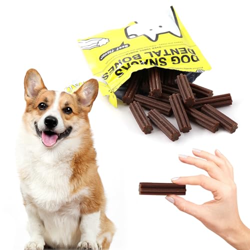 Long-Lasting Dog Toy,Hundezahnstocher,Beißerchen,lang anhaltende Kausnacks für kleine Hunde und Welpen von GNKatze