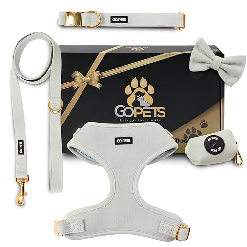 GO PETS – 5 in 1 Hundegeschirr mit Leine Set - Hundegeschirr mit Leine Verstellbar, No Pull, Halsband mit Fliege, kotbeutelspender & hundekotbeutel – Welpengeschirr, Inkl Geschenkbox (Hellblau) (M) von GO PETS