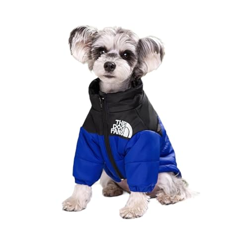 Warme Winter-Hundekleidung für Hunde, Französische Bulldogge, Welpen, winddicht, für kleine und mittelgroße Hunde, Chihuahua, Haustier-Outfits (Blau, S) von GOFDASY