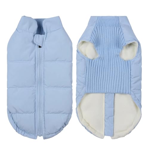 Winterjacke für Hunde, winddicht, warm, für kleine und mittelgroße Hunde, Katzen, Welpen, Daunenmantel, Chihuahua, Shih Tzu, Kostüm, Yorkies (blau) von GOFDASY