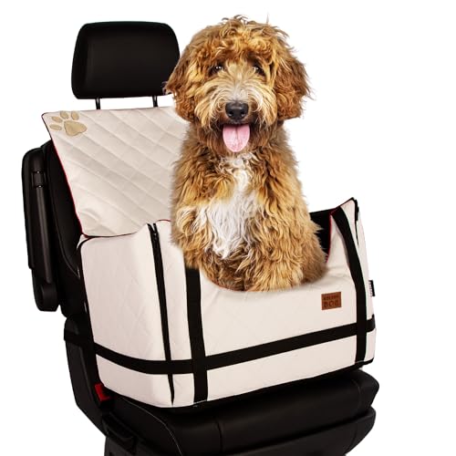 Golden Dog - Transportbox Hund mit Sicherheitsgurt XL-75x55x33 cm - Leder Imitation Autositz Hund, Wasserdicht Hundesitz Auto - Beifahrersitz Hundebox Faltbar - Anschnallgurt Hundekorb Auto, Weiß von GOLDEN DOG