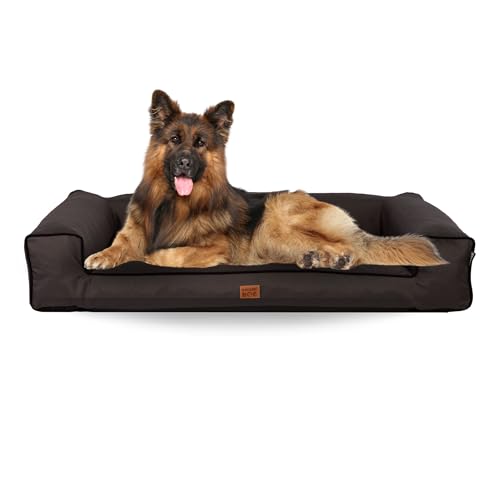 GoldenDog Hundeliege Torres Oxford Großes Hundebett, großes waschbares Katzenbett, Hundekissen aus dickem wasserdichtem Stoff, kratzfestes Schaumstoff-Hundebett, Graphit L von GOLDEN DOG