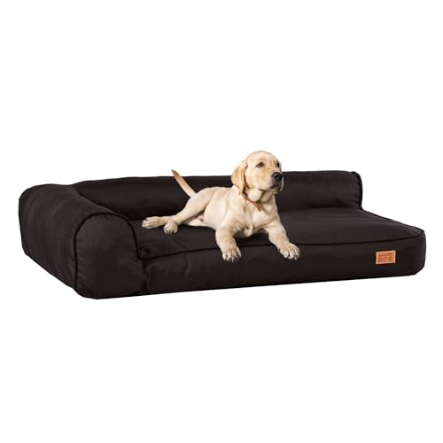 GoldenDog Lauge Kazan Oxford Large Hundebett, großes waschbares Katzenbett, Hundekissen mit Dicker Bucle-Stoffstruktur, kratzfestes Schaumstoff-Hundebett, M Schwarz von GOLDEN DOG