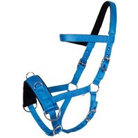 GOLDHORSE Kappzaum Basic blau WB (Warmblut) von GOLDHORSE