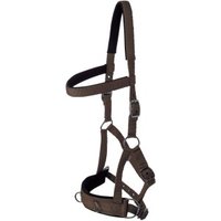 GOLDHORSE Kappzaum Basic braun WB (Warmblut) von GOLDHORSE