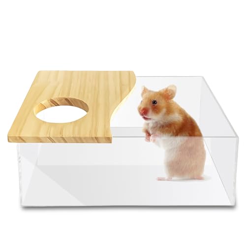 Haustier Hamster Badezimmer, Hamster Toilette, Sandbad Hamster, Sandbad Container Toilette Transparente Acryl Hamster Badebox, Abnehmbarer Hamster Sand Badezimmer für Mäuse, Lemminge(rechteckig) von GOMETY