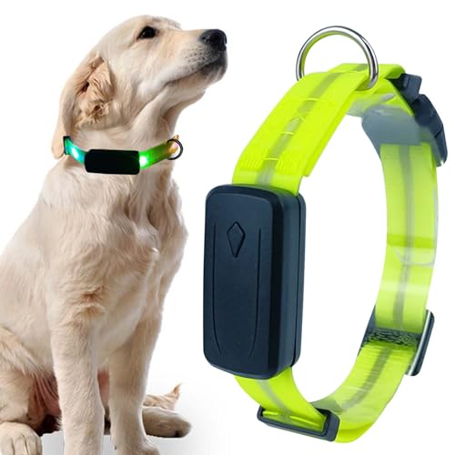 Leuchthalsband Hund Aufladbar, LED Hundehalsband Leuchtend 3 Beleuchtungsmodi IPX7 Wasserdicht LED Leuchtband Einstellbare Größe für Kleine Mittlere Große Hunde Grün von GOMETY