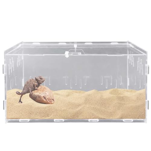 Reptil Fütterungsbox aus Acryl, 30x20x15cm Schnecken Terrarium Feeding Box, Insekten Futterbox Reptilien Terrarium Transportbox für Wasserschildkröten Spinnen Hamster Einsiedlerkrebs Echse von GOMETY