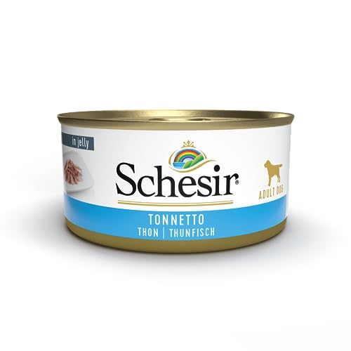 Schesir Dog - Thunfisch von GONDMAX