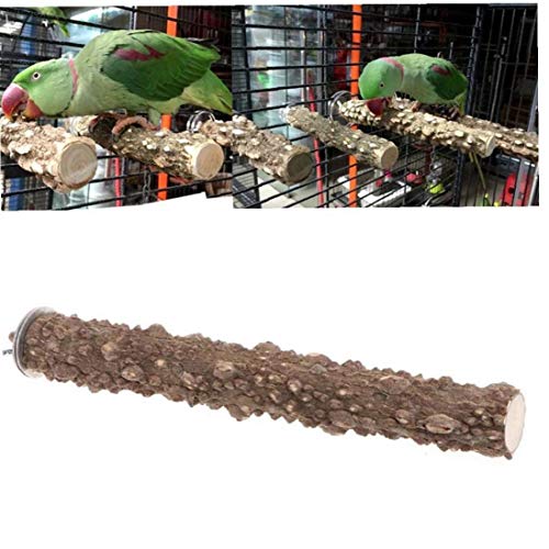 Zonfer 1pc Haustier-Vogel-papageien-ständer Perch-Stock-plattform Grinding Paw Cage Hänge Chew Spielzeug Für Wellensittich Parrot Sittiche Cockatiels von GONDMAX