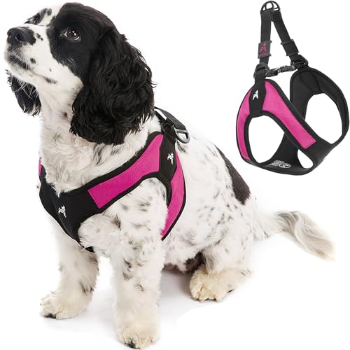 Gooby - Escape Free Easy Fit Hundegeschirr, kleines Hundegeschirr für Hunde, die ihrem Geschirr gerne entfliehen, Hot Pink, Größe M von GOOBY