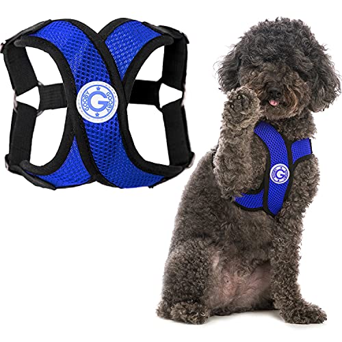 Gooby Choke Free Comfort X Step-In Hundegeschirr, Größe S, Blau von GOOBY