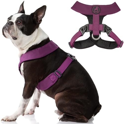 Gooby Comfort X Harness Dual Snap,Lila, Klein,No Pull Kleines Hundegeschirr mit Drehschnallen und patentiertem Choke-Free X Rahmen,Hundegeschirr für mittelgroße Hunde kein Ziehen und kleine Hunde von GOOBY