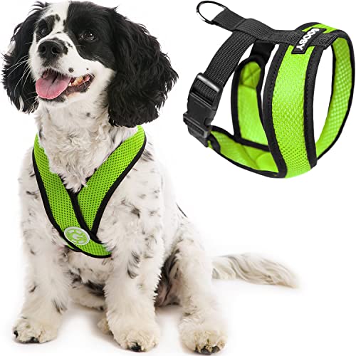 Gooby - Comfort X Head-In Harness, Choke Free Small Dog Harness with Micro Suede Trimming and Patented X Frame, Green, X-Large von GOOBY